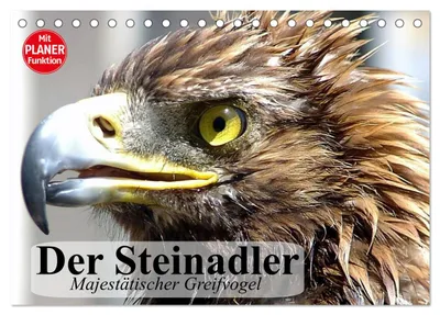 Produktbild von Der Steinadler. Majestätischer Greifvogel (Tischkalender 2027 DIN A5 quer), CALVENDO Monatskalender