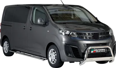 Image de Marchepieds Latéraux pour Opel Vivaro 2019-2025 L3 Acier Inox Argent