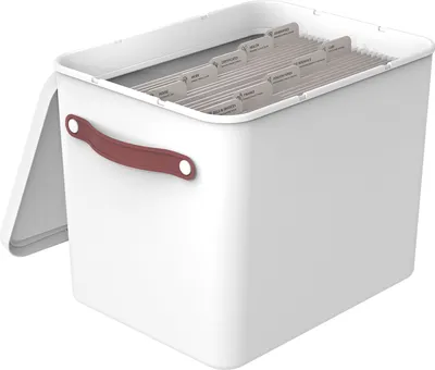 A white filing box with a reddish-brown handle and labeled hanging folders inside.
