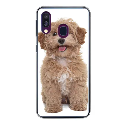 Produktbild von MuchoWow® Handyhülle Schutzhülle Hülle für Samsung Galaxy A40 Hund - Haustiere - Fell Silikon Softcase Handy Hülle - Handy-Tasche