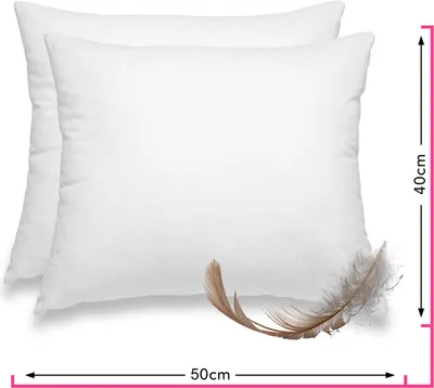 Obrázok produktu pre súprava 2 vankúšov z peria 40x50
