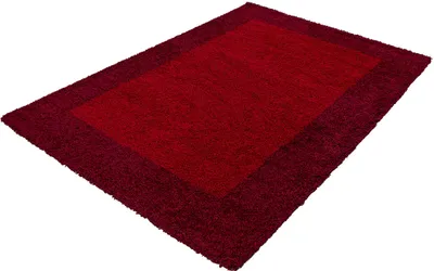 Image de Life Shaggy Ombre tapis poils longs rectangle 120x170cm rouge