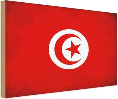 Produktbild von vianmo Holzschild 30x40 cm Tunesien Tunisia Flagge Fahne Wappen