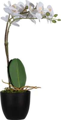 Produktbild von Paperflow Kunstpflanze PAORCH40 Orchidee ws 40cm