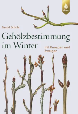 Produktbild von Gehölzbestimmung im Winter
