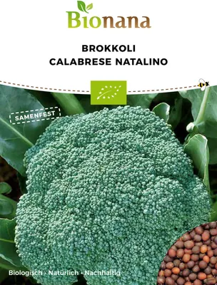 Produktbild von Broccoli Calabrese Natalino Gemüsesamen