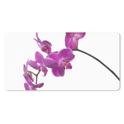 Produktbild von MuchoWow® Schreibtischunterlage Orchidee vor weißem Hintergrund 80x40 cm - XXL Mauspad - Gaming Mauspad