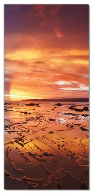 Produktbild von Wallario selbstklebende Türtapete 100 x 220 cm - Wattwanderung am Meer bei Sonnenuntergang - Abwischbar, rückstandsfrei zu entfernen