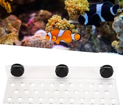 Zdjęcie produktu dla Magnetyczna akrylowa podstawka pod akwarium „Frag Reef” z przezroczystą podstawą i 32 otworami
