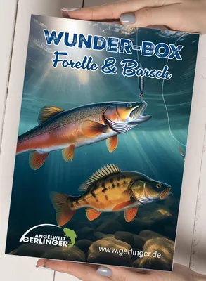 Produktbild von Wunder-Box-Forelle/Barsch Wundertüte Mystery-Box Geschenkbox Angelzubehör Angelset Kleinteile