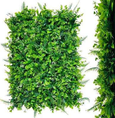 Obrázek produktu pro Zelené stěnové panely - thuja, kapradí, eukalyptus, závojnatka