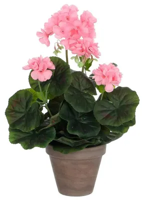 Produktbild von Mica Decorations Künstliche Geranie Rosa  Rosa One Size