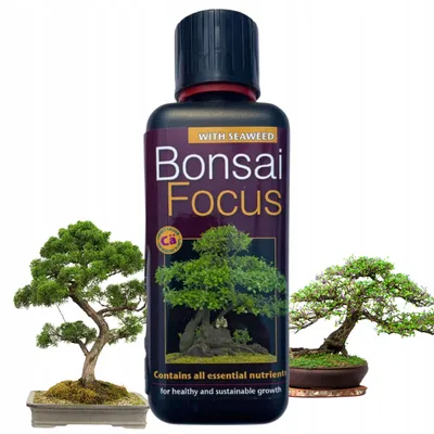 Obrázek produktu pro Growth Technology - Hnojivo na bonsaje 300 ml - Bonsai Focus - Vyvážené - Tekuté hnojivo