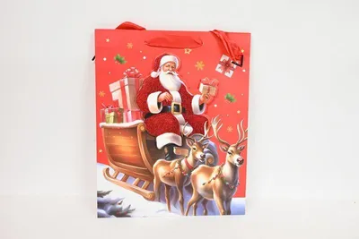 Produktbild von Geschenktüte in WK 22417 M 61231