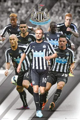 Produktbild von Fußball - Poster - Newcastle United - Players 14/15