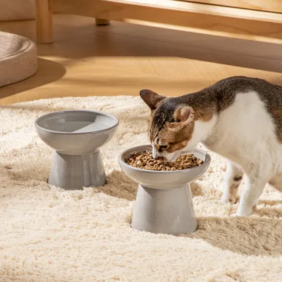 Produktbild von 2-tlg Fressnapf aus Steingut, erhöhter Futternapf für Haustiere, Hundenäpfe, Katzen-Futternäpfe, grau