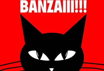 Produktbild von vianmo Holzschild 30x40 cm Katze Banzaiii!!!