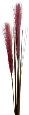 Produktbild von Künstliches Lampenputzergras ca. 80 cm BURGUND. Pampasgras