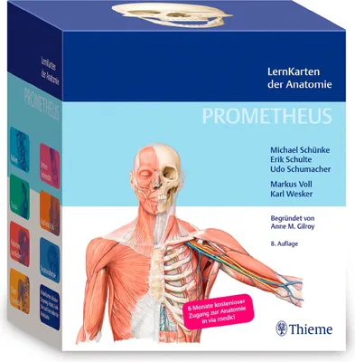 Produktbild von PROMETHEUS LernKarten der Anatomie