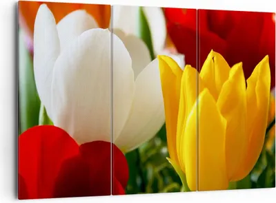 Produktbild von Bild auf Leinwand - Leinwandbild - Tulpen Vase Blumenstrauß - 165x110cm - Wand Bild - Wanddeko - Leinwanddruck - Bilder - Kunstdruck - Wanddekoration - Leinwand bilder - Wandkunst - CE165x110-1366