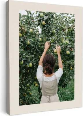 Produktbild von Leinwand Bilder 60x80 cm - Küche - Grün - Apfelbaum, Bilder Modern, Leinwandbilder, Wanddeko