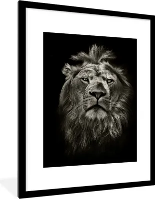 Produktbild von MuchoWow® Gerahmtes Poster Löwe - Tiere - Porträt - Wildtiere - Schwarz und weiß 60x80 cm - Poster mit Schwarzem Bilderrahmen Wandposter Rahmen Foto Bilder - Wohnzimmer - Dekorationen - Prämie