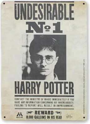 Produktbild von Harry Potter Blechschild Undesirable No. 1 15 x 21 cm
