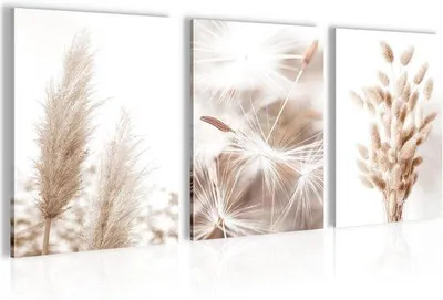 Produktbild von Wanddekorationen-Set - Für Wohnzimmer und Schlafzimmer - Beige - An der Wand aufhängbar