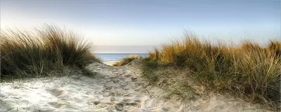 Produktbild von Wallario selbstklebendes Poster - Weg durch die Dünen zum Strand am Meer, Größe: 50 x 125 cm