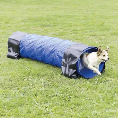 Produktbild von TRIXIE Fun Agility Mini Tunnel - blau - ø 40 cm/2 m