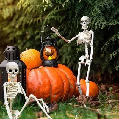 Immagine prodotto di Decorazione di Halloween – Scheletro a grandezza naturale con articolazioni mobili – Per giardino, terrazza, casa stregata e cimitero