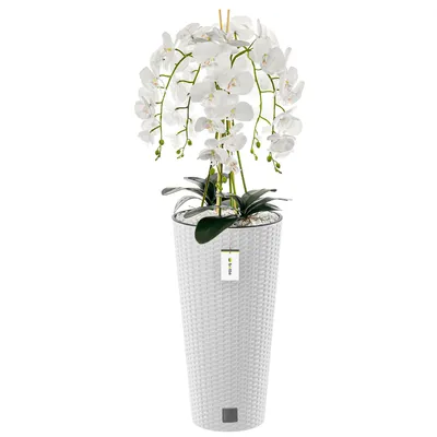 Produktbild von Künstliche Orchidee Kaskaden Blumenstrauß Weiß im Topf Weiß H 110 cm Heimbüro Dekoration, Kunstpflanze Orchidee, Kunstblume, Künstliche Orchidee im Topf