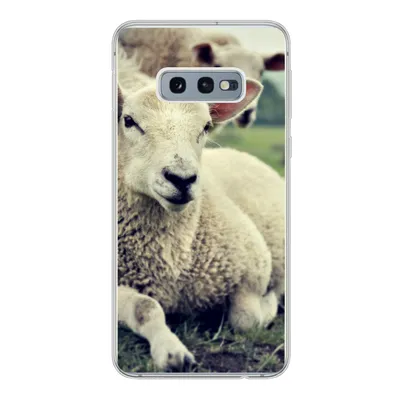 Produktbild von MuchoWow® Handyhülle Schutzhülle Hülle für Samsung Galaxy S10e Schaf - Lamm - Gras Silikon Softcase Handy Hülle - Handy