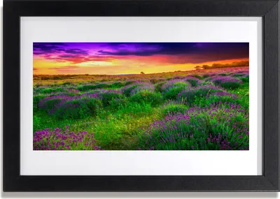 Produktbild von Bild 30x20 MDF-Rahmen Wandkunst Wiese Natur
