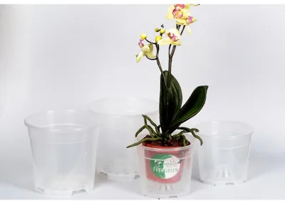 Produktbild von Orchideentopf 12cm transparent  transparent