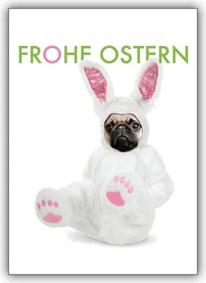 Produktbild von Komische Osterkarte mit Mops im Osterhasenkostüm: Frohe Ostern