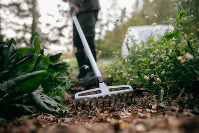 Produktbild von Rechen mit 10 Zähnen, 23,3 cm breit, 165,5 cm lang, ergonomischer SoftGrip-Griff