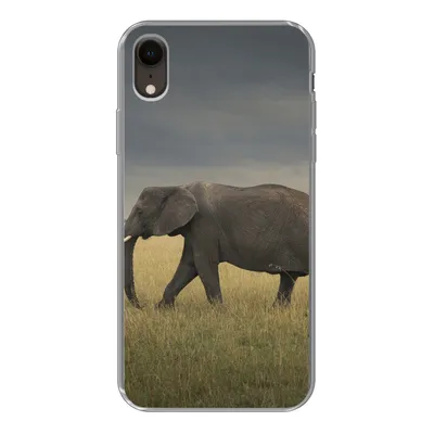 Produktbild von MuchoWow® Handyhülle Schutzhülle Hülle für iPhone XR Elefant - Savanne - Tiere - Natur Silikon Softcase Handy Hülle - Schutzdeckel
