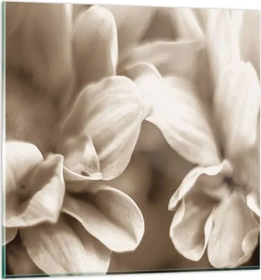 Produktbild von Bilder auf glas - Einteilig - Blumen Boho ohne - 40x40cm - Glasbilder - Wandbilder - Bilder - zum Aufhängen bereit - Wanddekoration aus Glas - Glas Bilder - Wandbild auf Glas - GAC40x40-4767