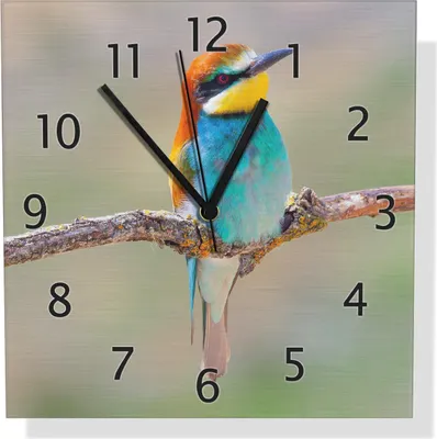 Produktbild von Wallario Design Wanduhr Vogel auf Ast aus Aluverbund, Größe 30 x 30 cm