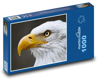 Produktbild von Puzzle 1000 Weißkopfseeadler - majestätischer Vogel - martinpuzzle