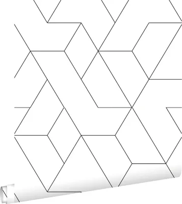 Zdjęcie produktu dla ESTAhome Tapeta linie graficzne czarno-białym 53 cm x 10.05 m