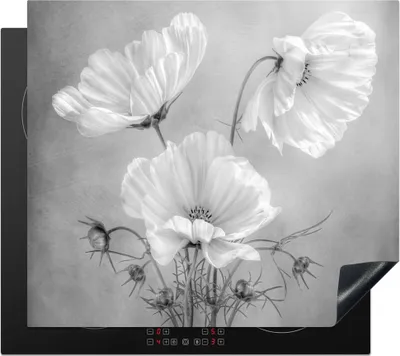 Produktbild von KitchenYeah© Herdabdeckplatte Stilleben - Blumen - Schwarz und weiß - Mohn - Botanisch , 58x51cm, Küche Deko, Glaskeramikkochfeld Herdabdeckung, Abdeckplatte fùr Kochfeld
