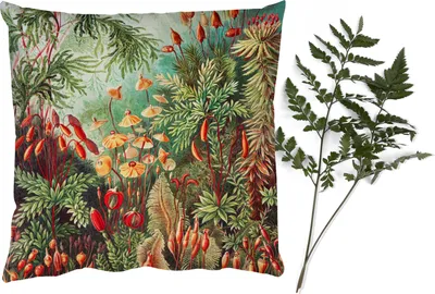 Produktbild von MuchoWow® Zierkissen Sofakissen Wohnzimmer Dekokissen 45x45 cm Blumen - Kunst - Vintage - Natur - Botanisch - Schlafpolster - Polster für das Sofa