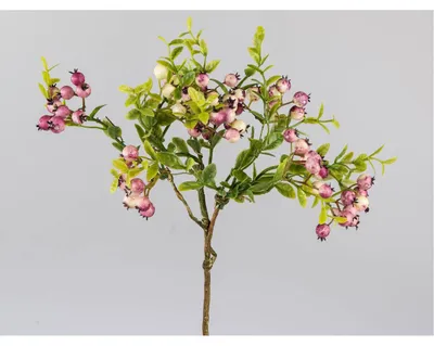 Produktbild von künstlicher Deko Beerenzweig H. 40cm creme pink Formano F25