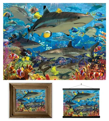 Lentikuläre 3D-Poster – Haifisch-Riff, 30 x 40 cm, ungerahmt