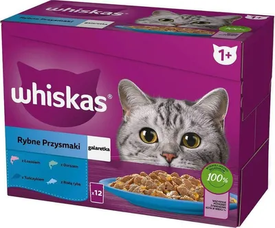 A box of Whiskas cat food with a cat's face on it.
