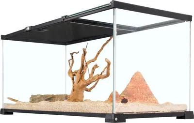 Produktbild von Repti-Zoo Terrarium RAK 75x30x30cm Repti-Zoo