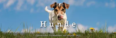 Produktbild von Hunde 2022 Literarischer Tischkalender