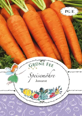 Produktbild von Grüne Fee - Speisemöhre Juwarot Samen - 11286